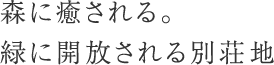 森に癒される。緑に開放される別荘地