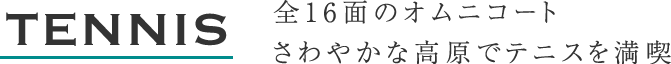 TENNIS　全16面のオムコートさわやかな高原でテニスを満喫