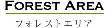 Forest Area