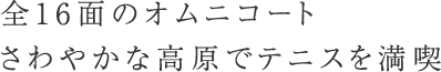 全16面のオムニコートさわやかな高原でテニスを満喫